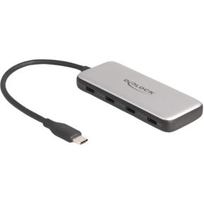 DeLock DeLOCK 64261 interface hub USB 3.2 Gen 1 (3.1 Gen 1) Type-C 10000 Mbit/s Zwart, Grijs