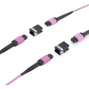 Voorbeeld afbeelding 1