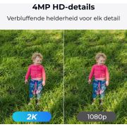 Voorbeeld afbeelding 4