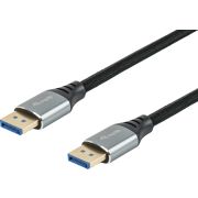 Equip 119283 DisplayPort kabel 3 m Zilver, Zwart