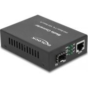 DeLOCK 86861 netwerk media converter 10000 Mbit/s Zwart