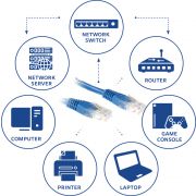 Voorbeeld afbeelding 2