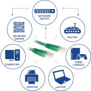 Voorbeeld afbeelding 2