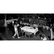 Voorbeeld afbeelding 3