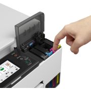 Voorbeeld afbeelding 4