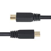 Voorbeeld afbeelding 4