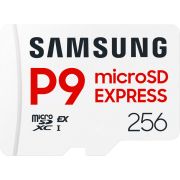 Samsung P9 Express microSDXCTM Express Card 256GB