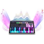 Voorbeeld afbeelding 12