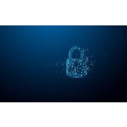 Voorbeeld afbeelding 7