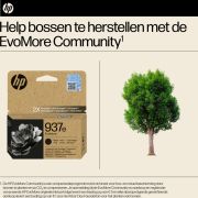 Voorbeeld afbeelding 3