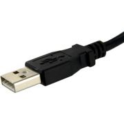 Voorbeeld afbeelding 3