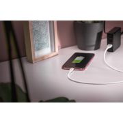 Voorbeeld afbeelding 2