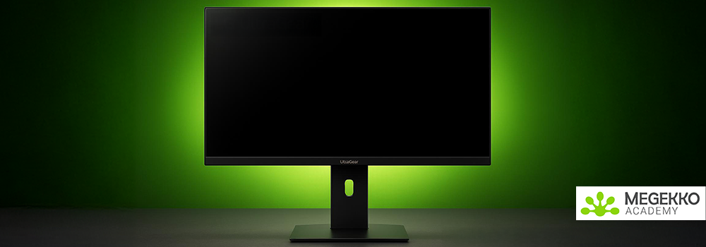 Top 5 NVIDIA videokaarten  | Megekko Academy