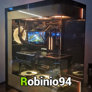 Robinio94