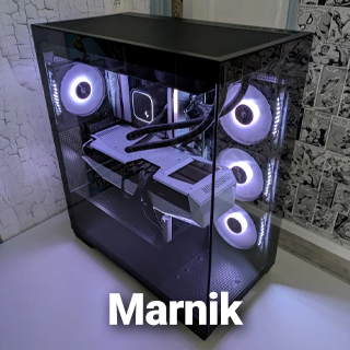 Inzending golden case badge