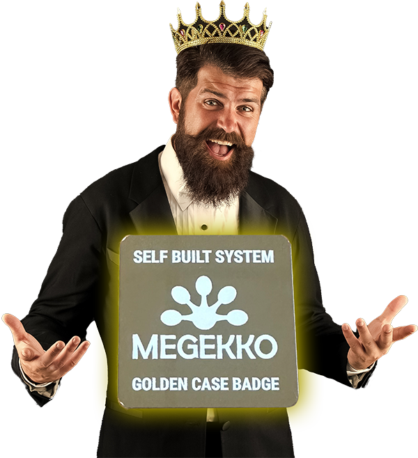 Winnaar Golden Case Badge