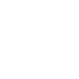 Lokale AI-modellen en -agents