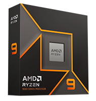 Ryzen™ 9 9900X