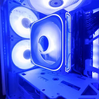 Golden case badge winnaar jan26